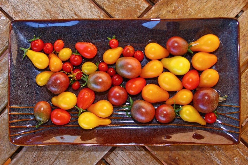 tomates cerises