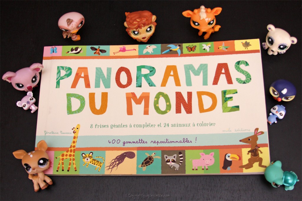 livre panorama du monde 