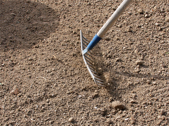 DIY jardin plantes grasses 