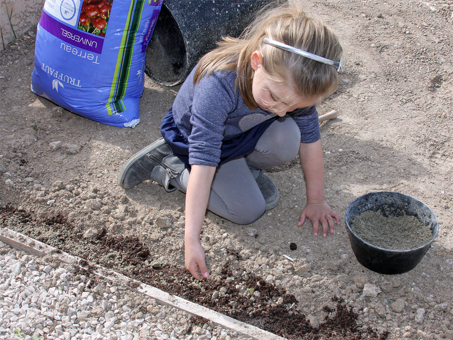 DIY jardin plantes grasses 