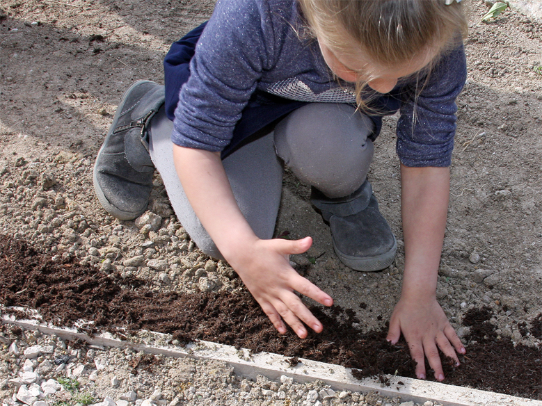 DIY jardin plantes grasses 