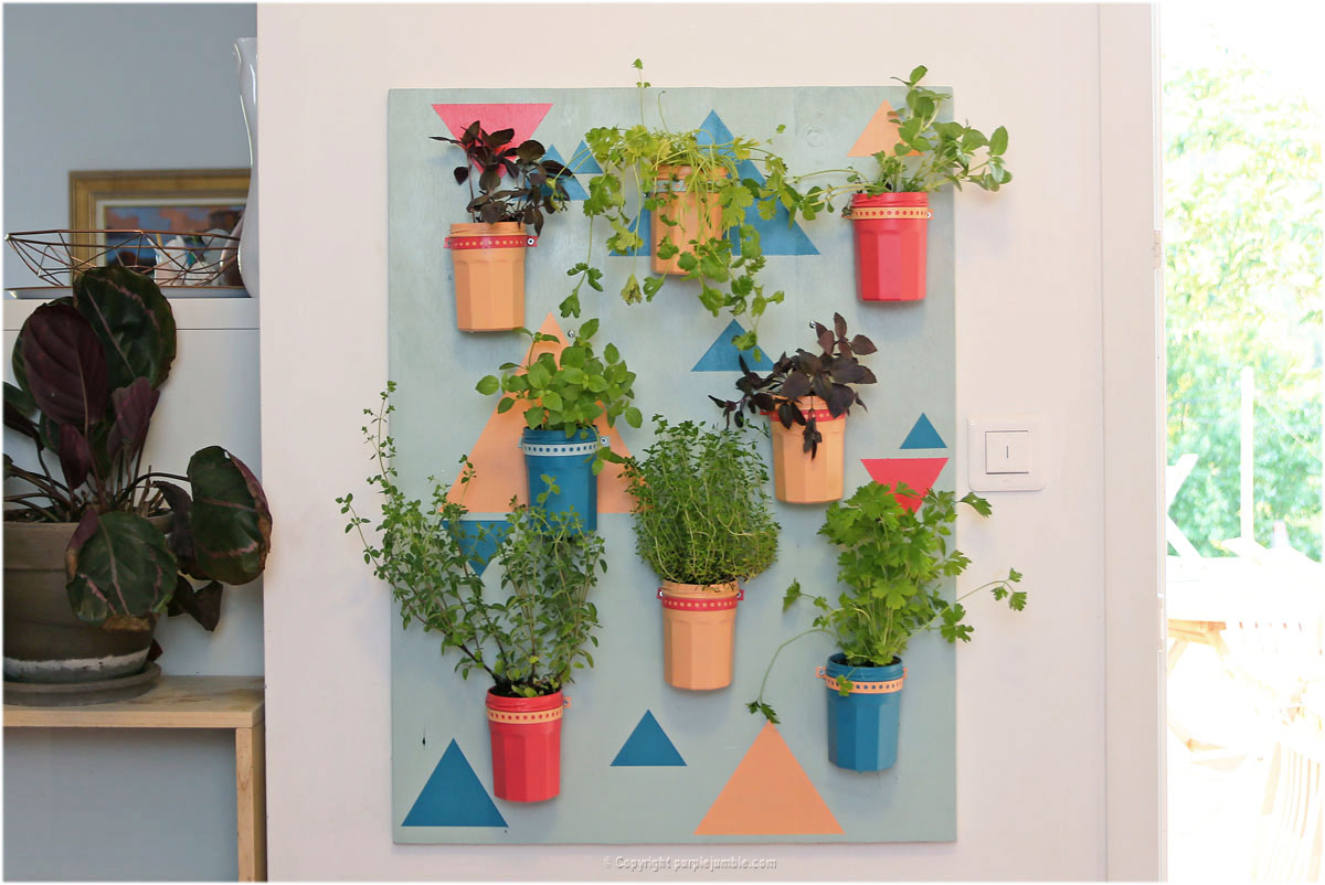 DIY cadre plantes aromatiques décoration murale