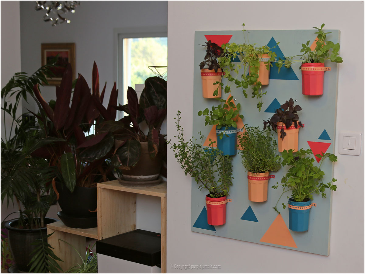 DIY cadre plantes aromatiques décoration murale