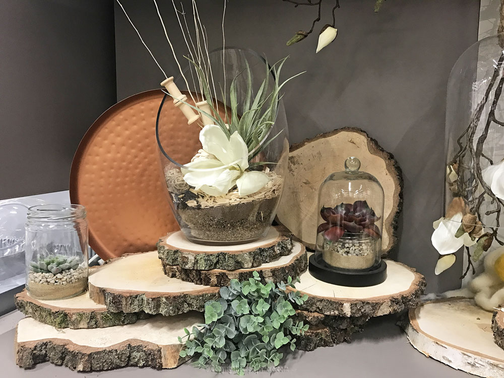 magasin zodio décoration plantes